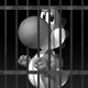 The mugshot of a criminal mastermind.